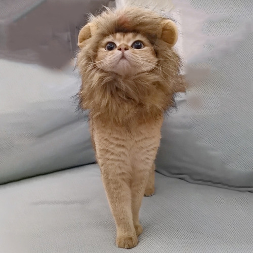 Lindo Tocado Para Mascotas Con Forma De León Y Gato