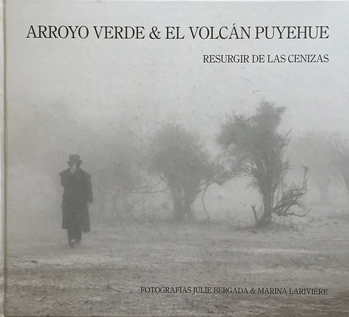 Arroyo Verde Y El Volcan Puyehue Julie Bergada / L