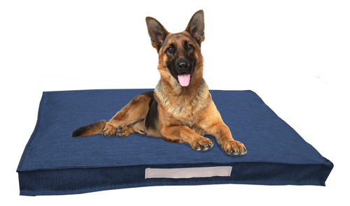  Colchon Cama Perro Antidesgarro Funda Extraible  60x50 S