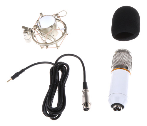 Micrófono De Grabación De Sonido De Estudio Blanco