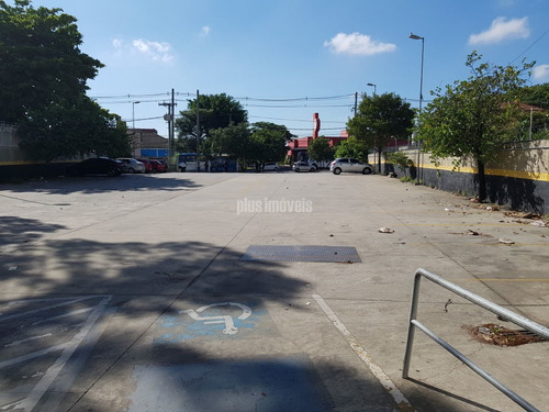 Oportunidade Única. - Pp19198