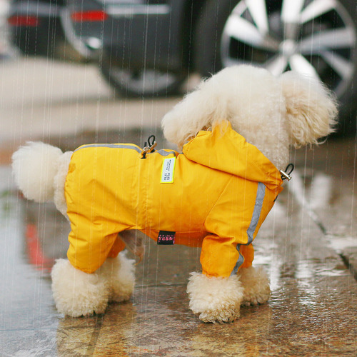 Perro Pequeño Y Mediano Impermeable De Cuatro Patas Yellow X