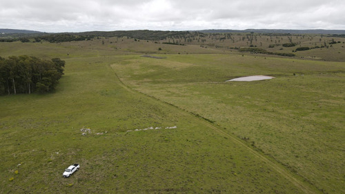 Campo Ganadero En Rocha 350ha (ref: Atm-7301)