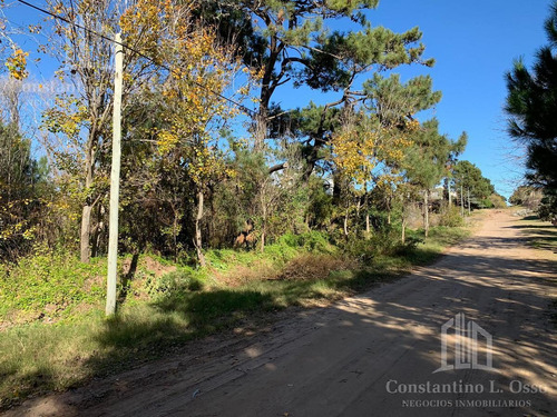 Imagen 10 de 15 de Lote Venta - En Ostende - A 200 Metros Del Mar