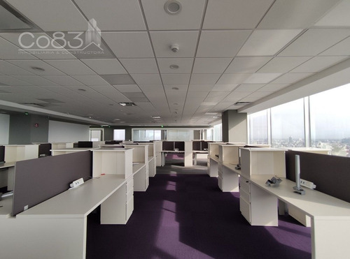 Imagen 11 de 15 de Renta - Oficina Amueblada - Insurgentes Sur - 400 M2 - Piso