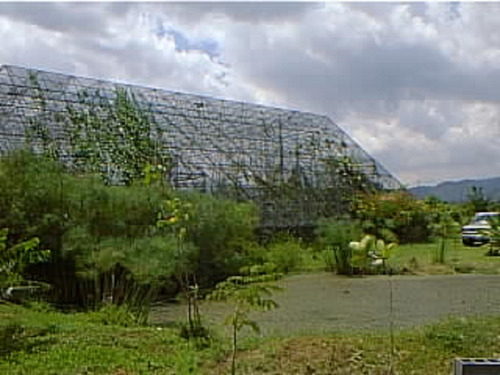 Imagen 7 de 7 de Oportunidad Finca Aviario Aguirre