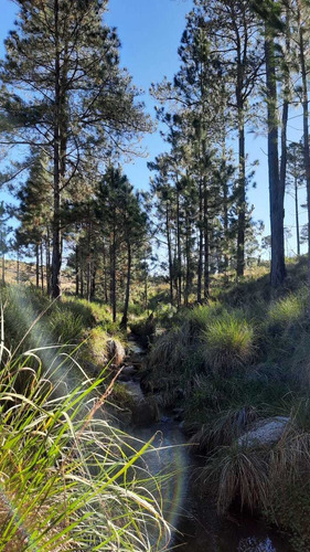 Imagen 4 de 4 de Lote En Potrero De Garay, A 12 Km De San Clemente