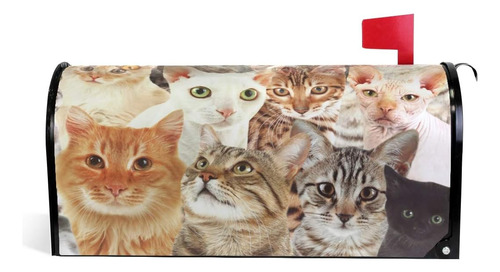 Woor Cute Cats - Funda Magnética Buzón (tamaño Está...