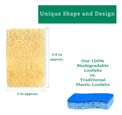 Esponjas Lufa Naturales Xl 10 Unidades Platos Ecológicos