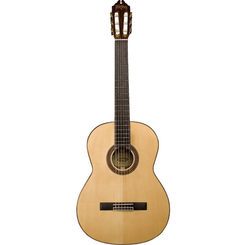Guitarra Washburn Clasica  Wc750sw