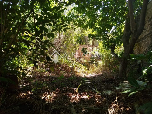 Imagem 6 de 6 de Terreno - Petropolis - Ref: 165505 - V-165505