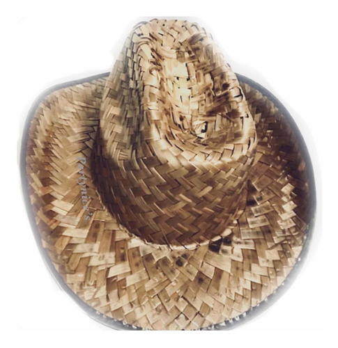 48 Sombrero Texano Palma Vaquero Country Paja Partynices