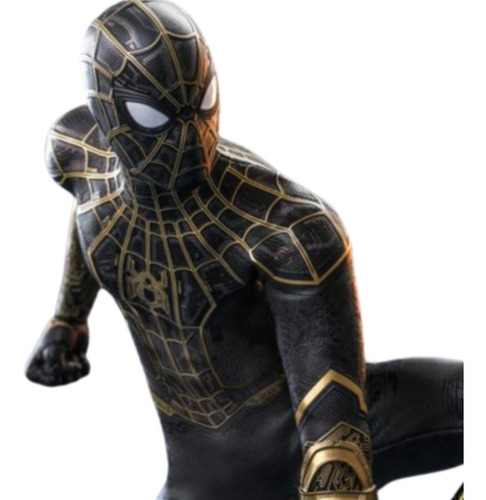Nwh Spider-man (black & Gold Suit) Collectible Figure