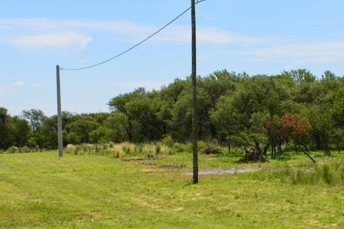 Imagen 3 de 6 de Lotes De 1500m2 En Cortaderas - Zorzales Del Dique