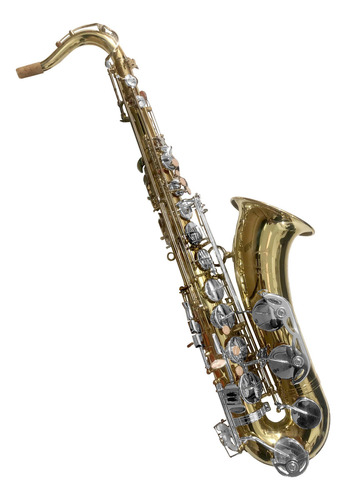 Saxofon Tenor Fanpro Sxtnnick Sib Laqueado Llaves Niquel
