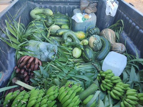 Imagem 10 de 20 de Fazenda Na Região De Rosário Oeste -mt