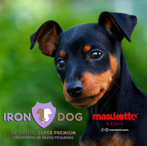 Imagen 7 de 9 de 3 Paquetes Iron Dog Razas Pequeñas Adulto 1kg. C/u