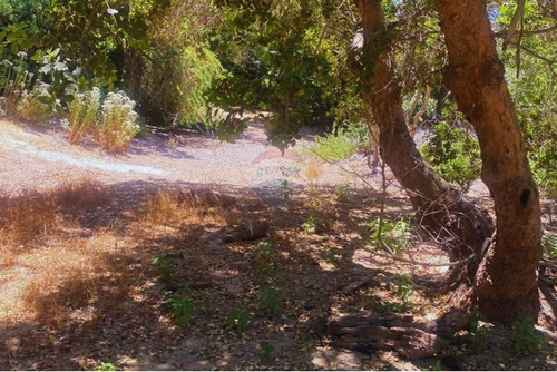 Parcela Con Acceso A Embalse Los Aromos, Limache