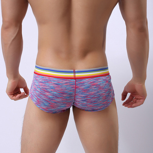 Calzoncillos Cortos Para Hombre, Calzoncillos Tipo Bóxer Par
