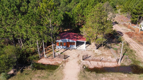 Imagen 19 de 24 de Casa - En Venta - En Solar De 660m2 - Barrio Pinares - Mza 125