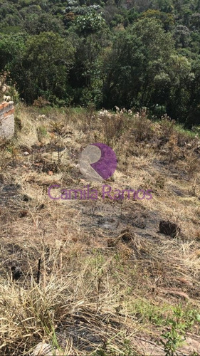Imagem 13 de 13 de Terreno Com 4.000 M2 Em Bairro Do Rio Acima, Biritiba Mirim/sp. - Te00218 - 70750732
