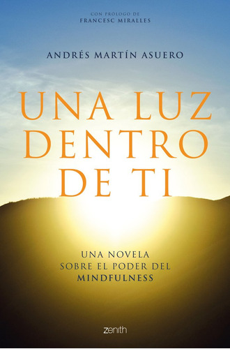 Libro Una Luz Dentro De Ti - Martã­n Asuero, Andrã©s