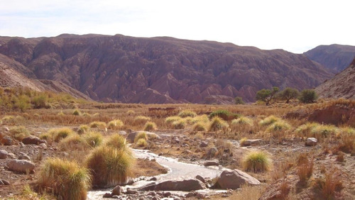 Predio San Pedro De Atacama, Orilla Río Y Derechos De Agua