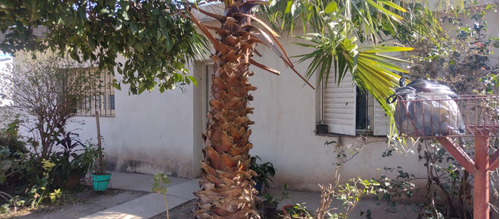 Casa Una Planta Dos Dormitorios Mas Departamento Guiñazu Con Escritura