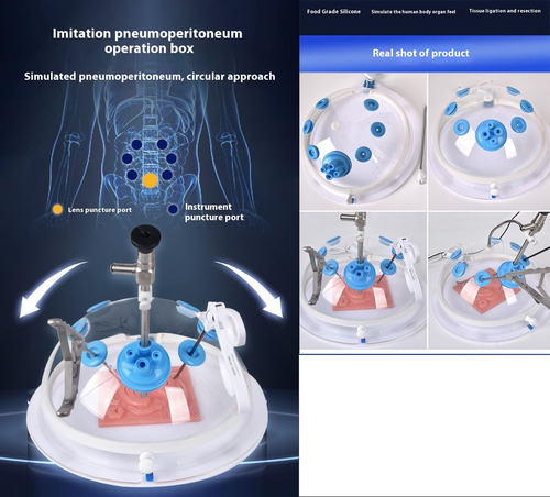 Entrenador De Simulación De Cirugía Laparoscópica+endoscopio