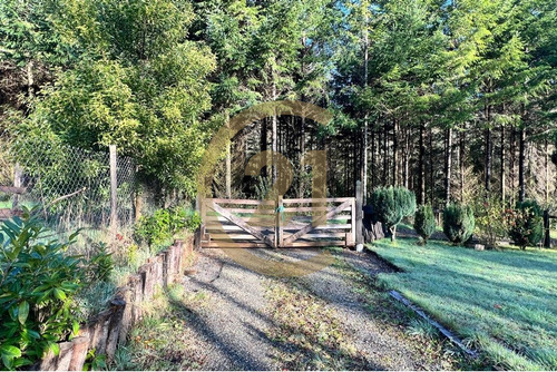 Conjunto De 4 Cabaña A 10 Min De Villarrica Relun