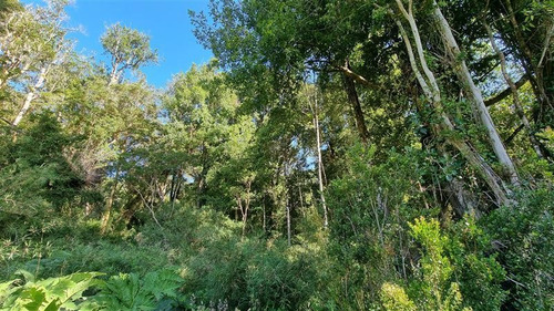 Parcela En Venta Lomas Del Mirador Puerto Varas
