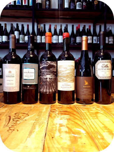 Mix X 6 Cabernet Franc, Alta Gama Recomendados Viña Urbana
