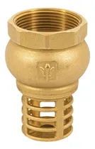 Comprar Pichancha Con Rejilla De Latón 1-1\u002F2  Para Bombas De Agua