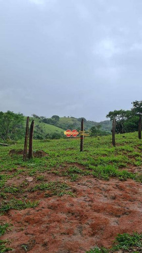 Imagem 12 de 23 de Sítio - Vivendas Do Engenho D Água - Si0262