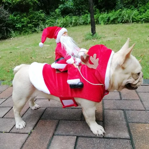 A Traje De Equitación De Santa Claus Ropa For Mascotas