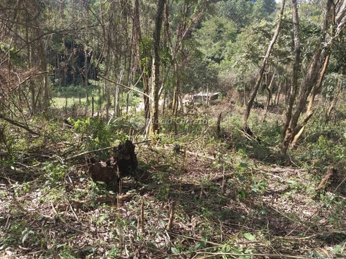 Imagem 9 de 15 de Vendo Lote 5.000 M² - Mairiporã- Cond.monjolinho - Lote A Venda No Bairro Jardim Sinki - Franco Da Rocha, Sp - Sc01715