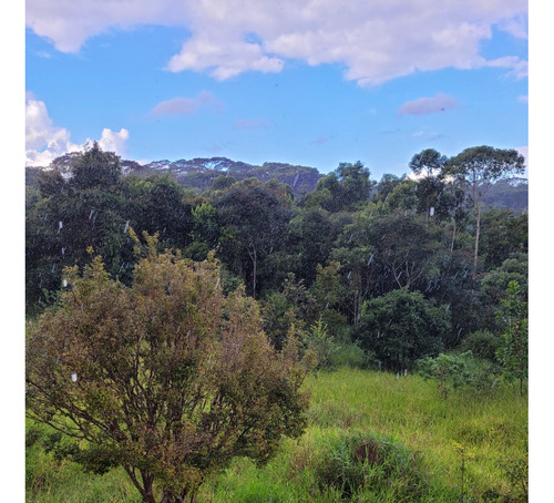 Sítio Em Itabirito 4 Suites, Lareira, Churrasqueira...porteira Fechada 60.000m²