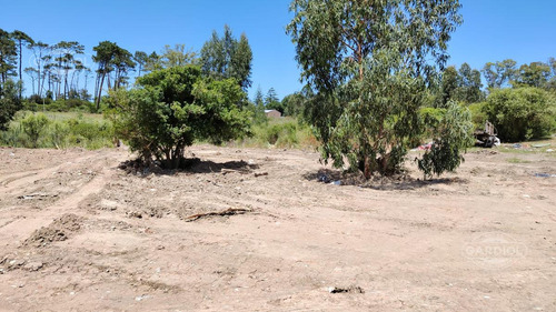 Terreno Barrio GoLG , Punta Del Este.