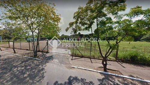 Imagem 1 de 1 de Terreno - Centro - Ref: 270300 - V-270300