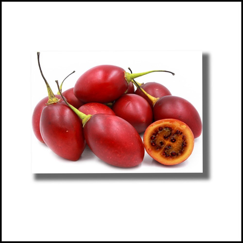 25 Semillas De Tomate De Arbol Reales - Tamarillo Organicas