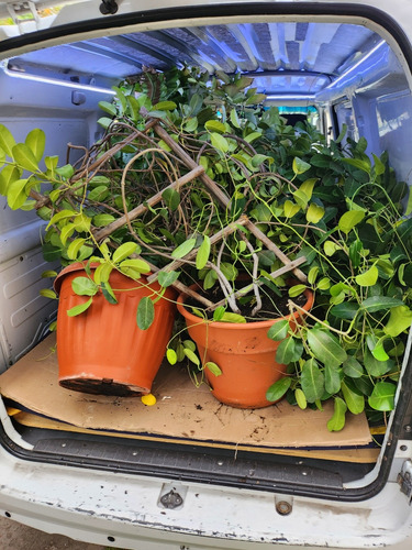 Transporte De Carga Menor