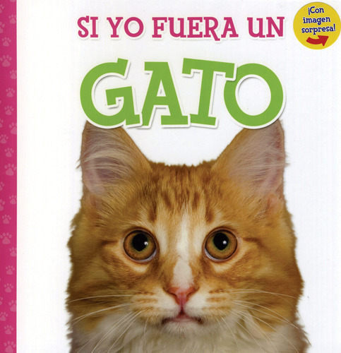 Si Yo Fuera Un Gato, de Gates, Laura. Serie Si Yo Fuera Un Pajaro Editorial Kidsbooks, tapa dura en español, 2017