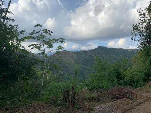 Imagen 4 de 11 de En Venta Terreno Con Excelente Ubicacion - Hacienda Caicaguana - Mls#22-21471