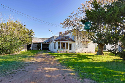 Venta Bodega O Deposito 10 Hectareas, Toledo Chico
