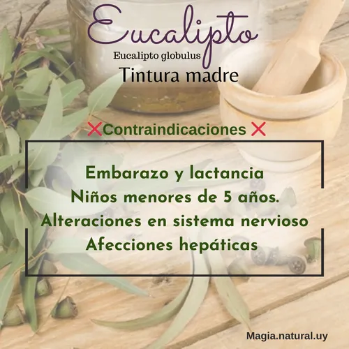 Tintura Madre De Ortiga.30ml. Magia Natural.
