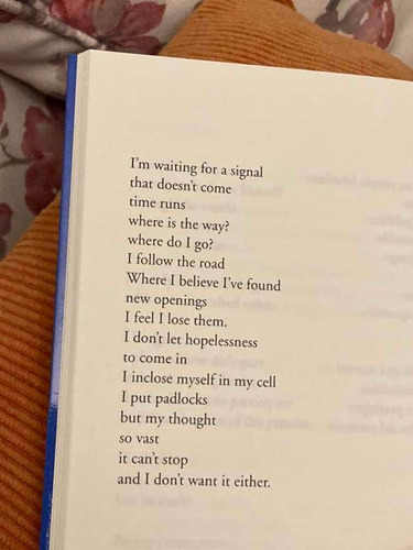 Imagen 3 de 4 de Libro Habitar Mi Camino Dwelling My Path Poesía Bilingüe