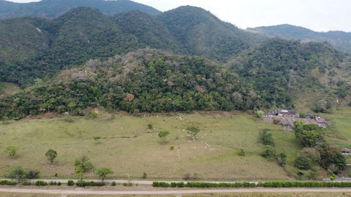 Imagen 5 de 8 de Finca En Venta Con Tradición Cafetalera Y Caña.