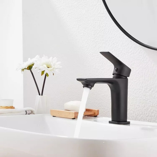 Torneira Banheiro Preto Fosco Inox 304 Monocomando Baixa