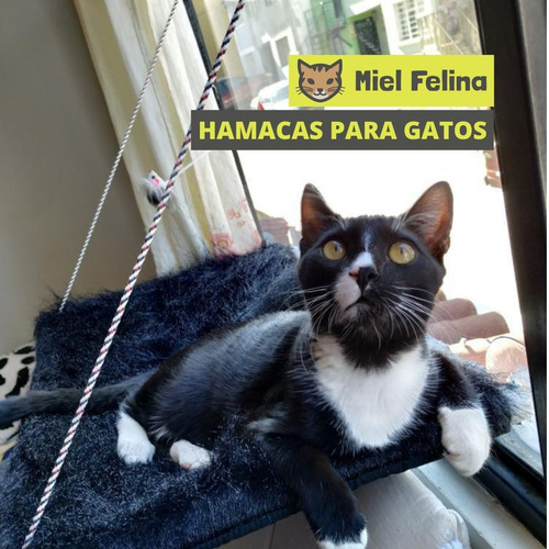 Imagen 2 de 3 de Cama Hamaca De Ventana Plegable Para Gatos - Miel Felina