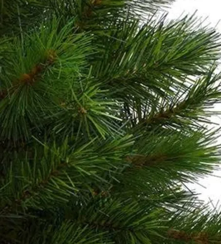 Árvore De Natal Bavarian Pine 580 Galhos 1,80m Árvore De Natal Bavarian Pine 580 Galhos 1,80m